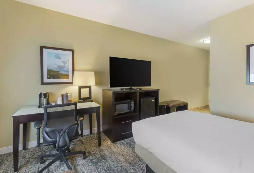 ホテル Best Western Plus Wilmington/carolina Beach