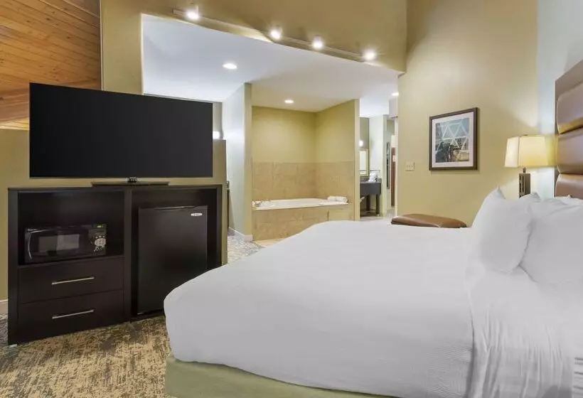 ホテル Best Western Plus Wilmington/carolina Beach