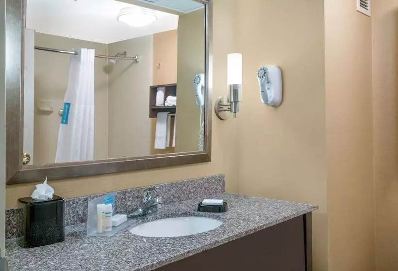 酒店 Hamilton Inn Birminghambessemer