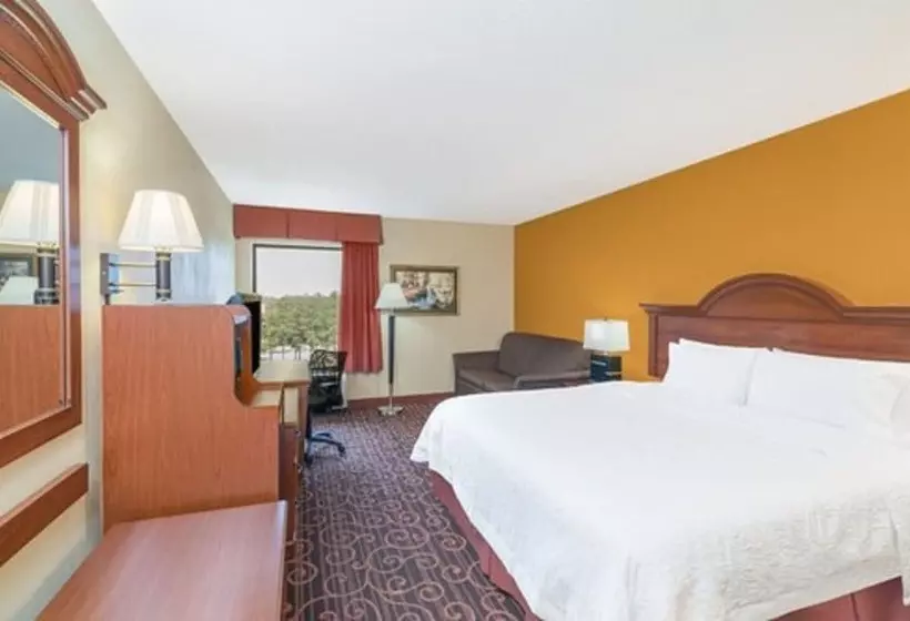 酒店 Hamilton Inn Birminghambessemer