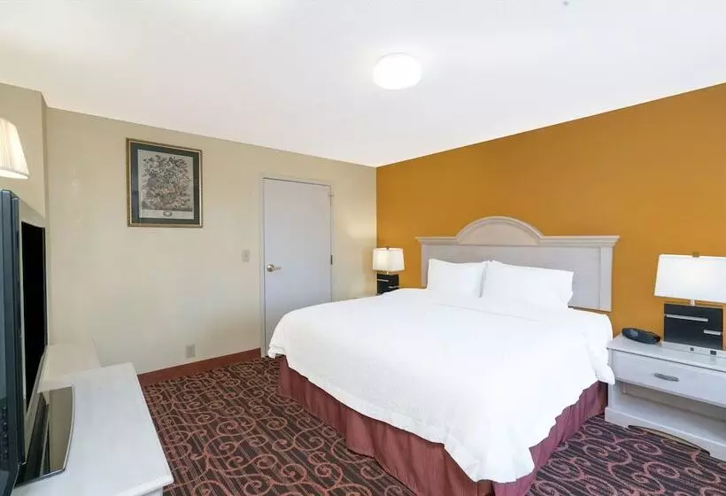 酒店 Hamilton Inn Birminghambessemer