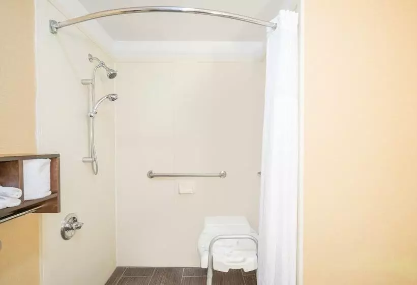 酒店 Hamilton Inn Birminghambessemer