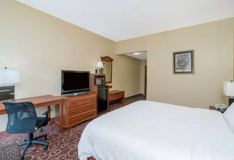 酒店 Hamilton Inn Birminghambessemer