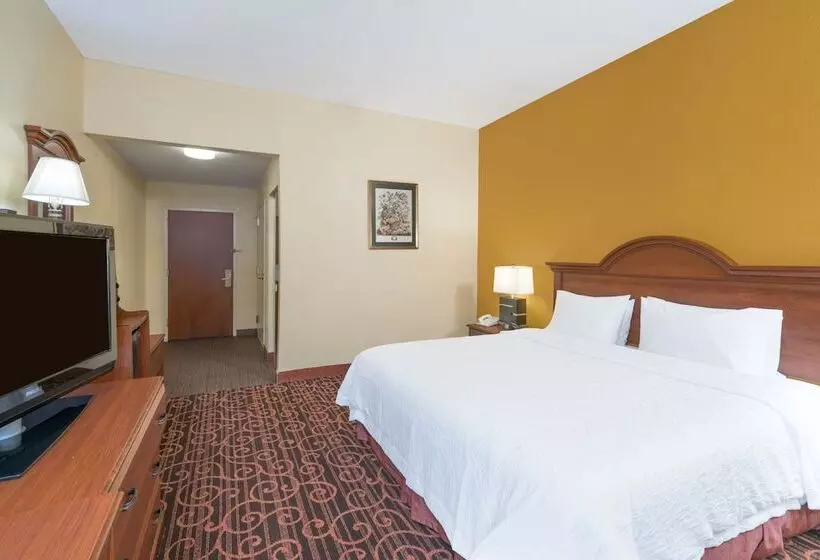 酒店 Hamilton Inn Birminghambessemer