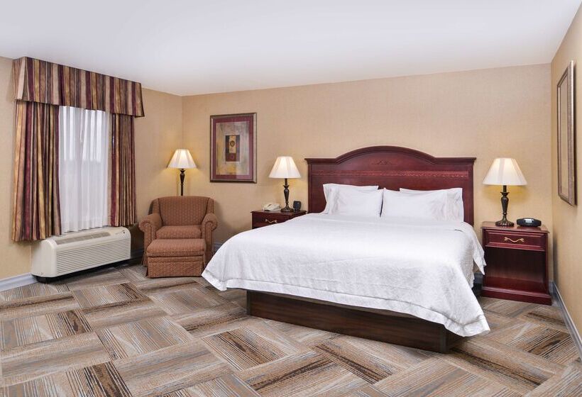 فندق Hampton Inn & Suites Boise Meridian