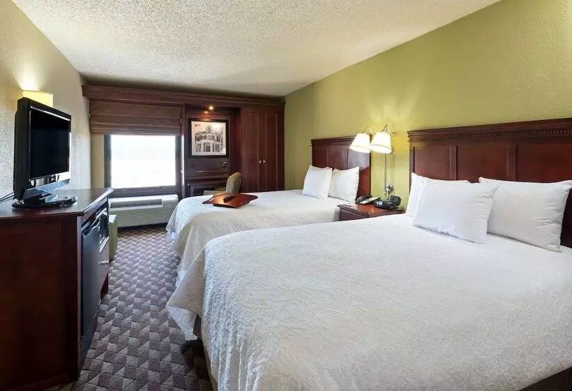 호텔 Hampton Inn Baton Rougei10 & College Dr