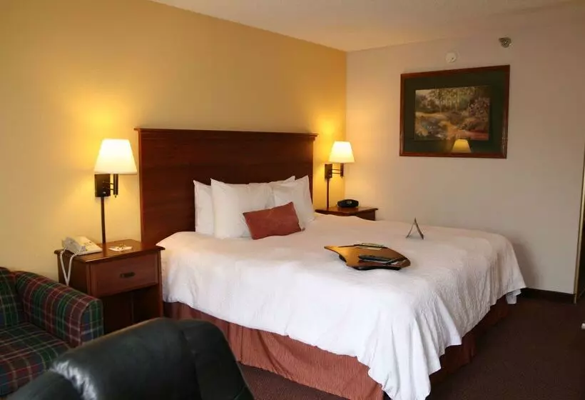 ホテル Hampton Inn Laurinburg