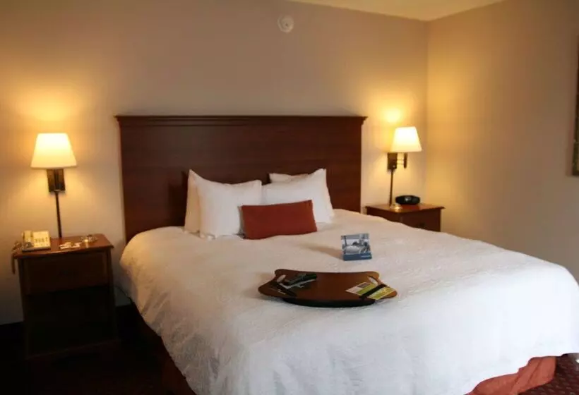 ホテル Hampton Inn Laurinburg