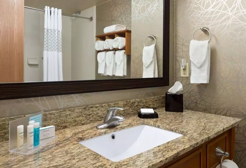 Отель Hampton Inn Pell City