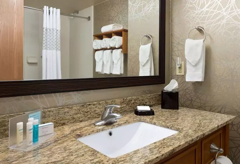 Отель Hampton Inn Pell City