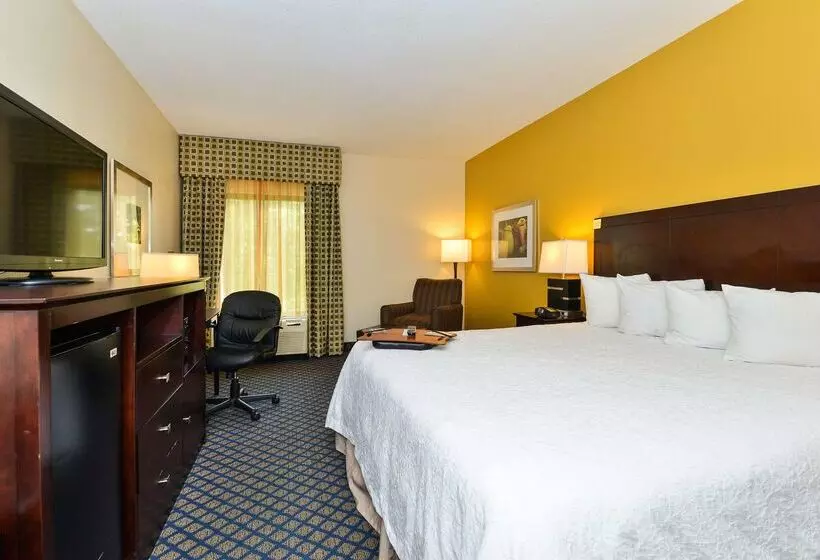 هتل Hampton Inn By Hilton Petersburg Ft. Gregg Adams