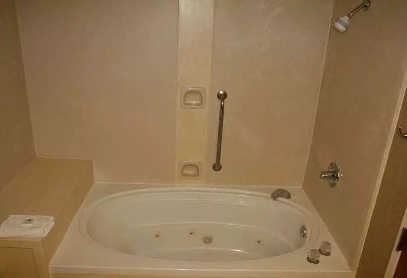 هتل Hampton Inn By Hilton Petersburg Ft. Gregg Adams