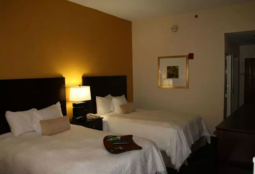 هتل Hampton Inn By Hilton Petersburg Ft. Gregg Adams