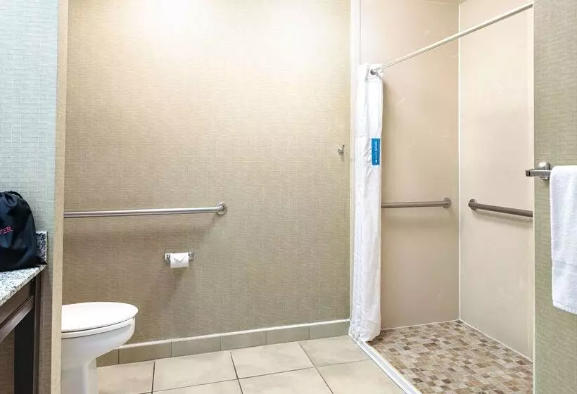 هتل Hampton Inn By Hilton Petersburg Ft. Gregg Adams