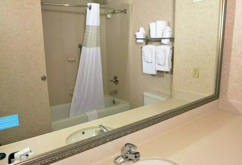 هتل Hampton Inn & Suites Springfield, Mo