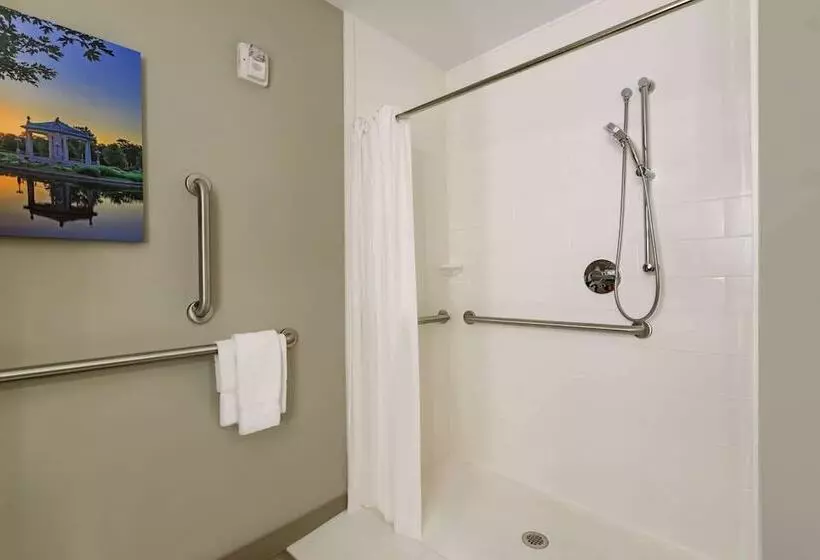 هتل La Quinta Inn & Suites By Wyndham St Louis Route 66