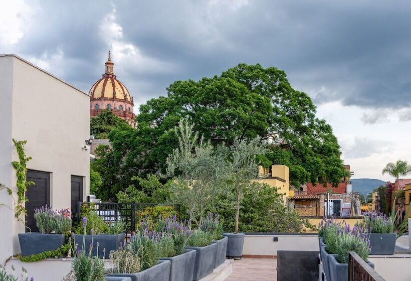 Casa Quebrada Hotel Boutique