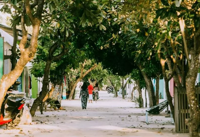 پانسیون Sunset Beach View