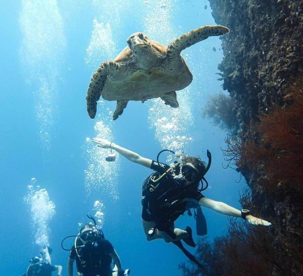 پانسیون Sunset Beach View