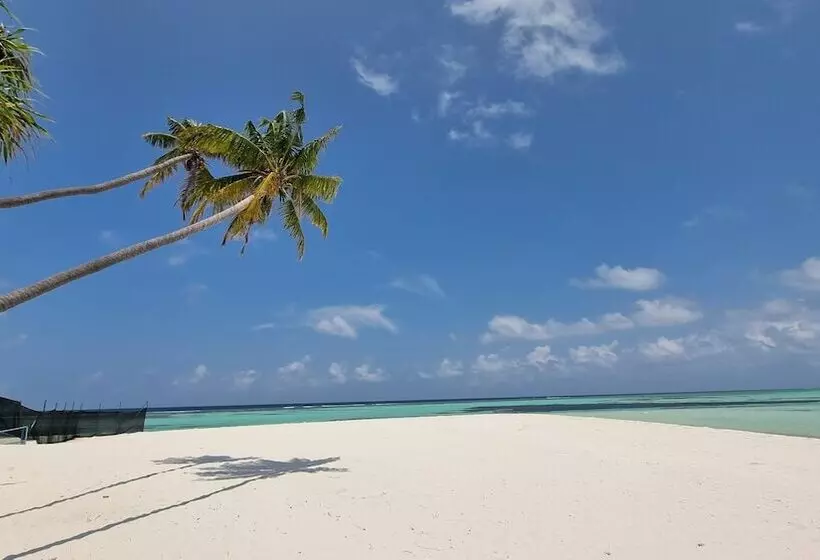 پانسیون Sunset Beach View