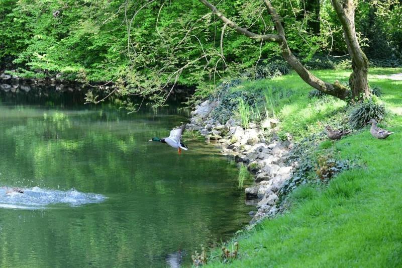 Agriturismo Cascina Farisengo