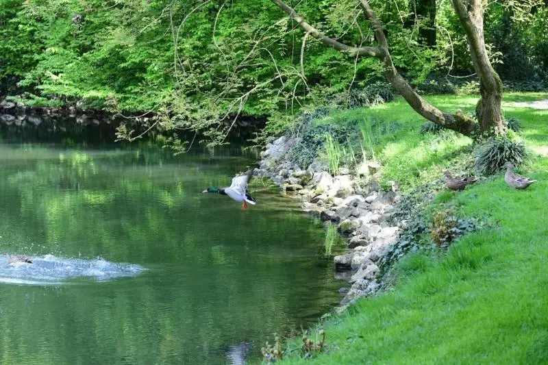 Agriturismo Cascina Farisengo