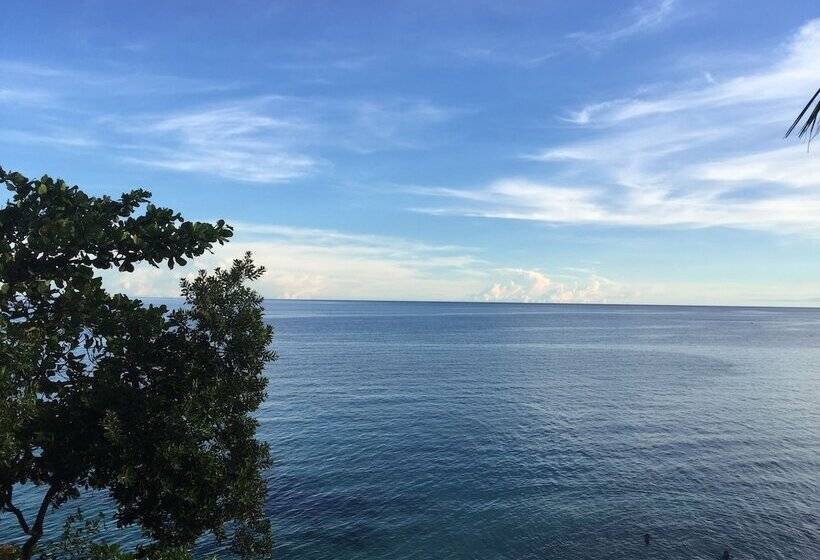 هتل Parklane Bohol Resort And Spa