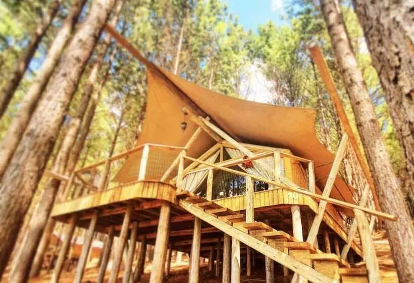 Hotelli Tedesco Eco Park