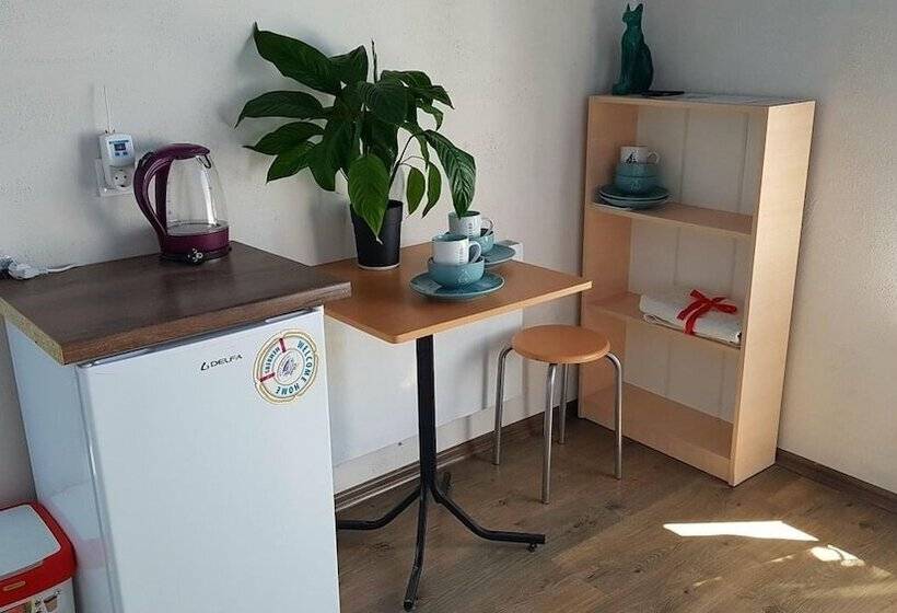 פנסיון Guest House Shafran