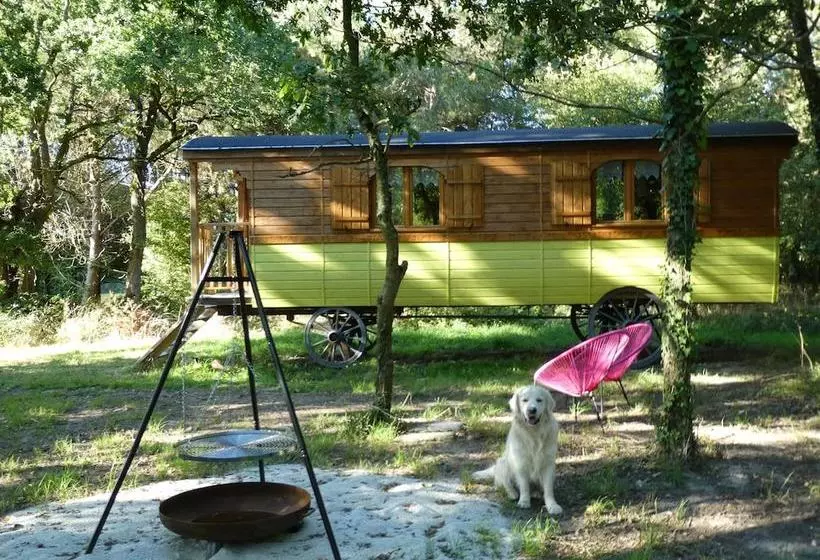 Majatalo Le Repaire Du Hibou