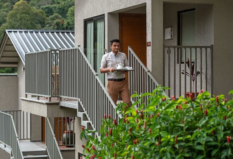 リゾートホテル Niraamaya Retreats Samroha Athirappilly