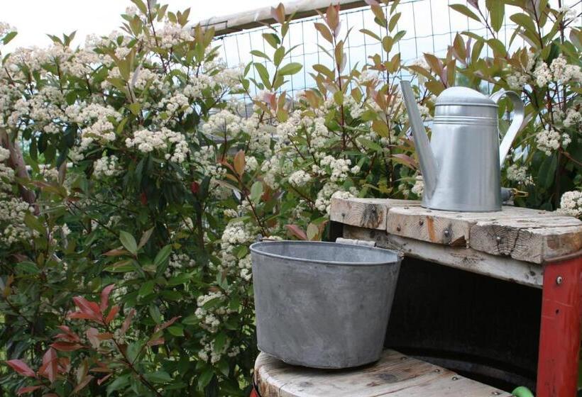 مبيت وإفطار Guest House Al Devesio