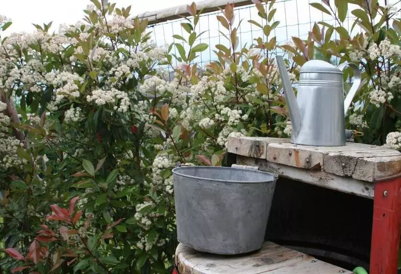 Aamiaismajoitus (B&B) Guest House Al Devesio