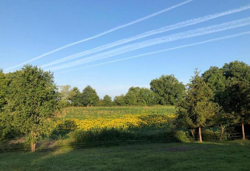 مبيت وإفطار Le Domaine De L ô   Lofts Contemporain Au Coeur Du Perigord