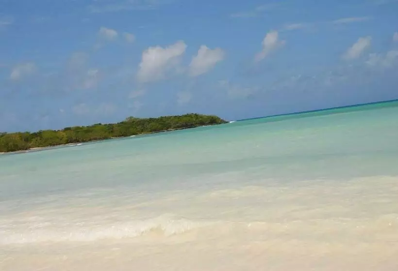 ホテル Saona Beach House   Bed And Breakfast