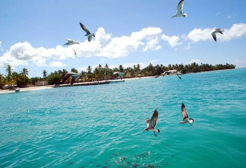 ホテル Saona Beach House   Bed And Breakfast