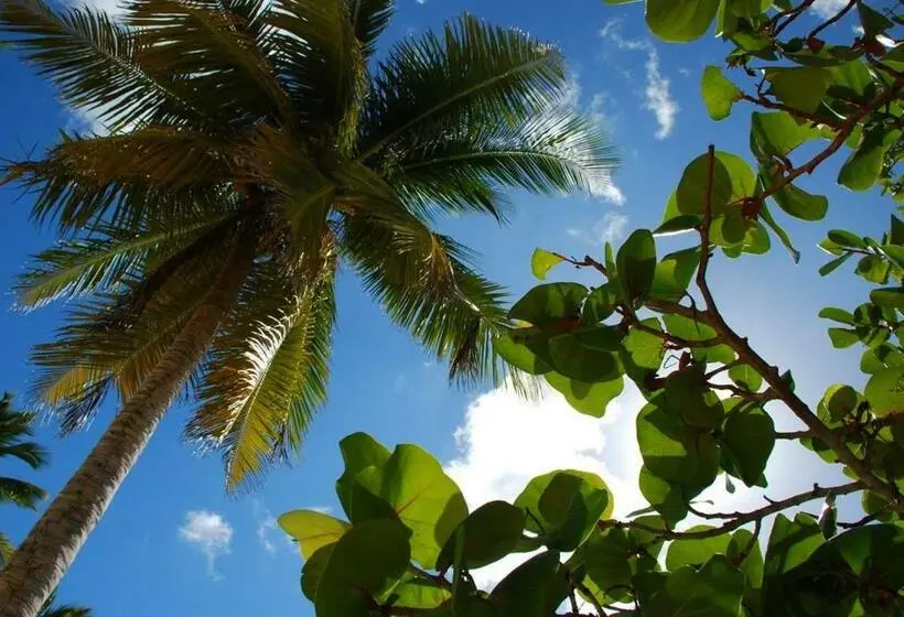 ホテル Saona Beach House   Bed And Breakfast