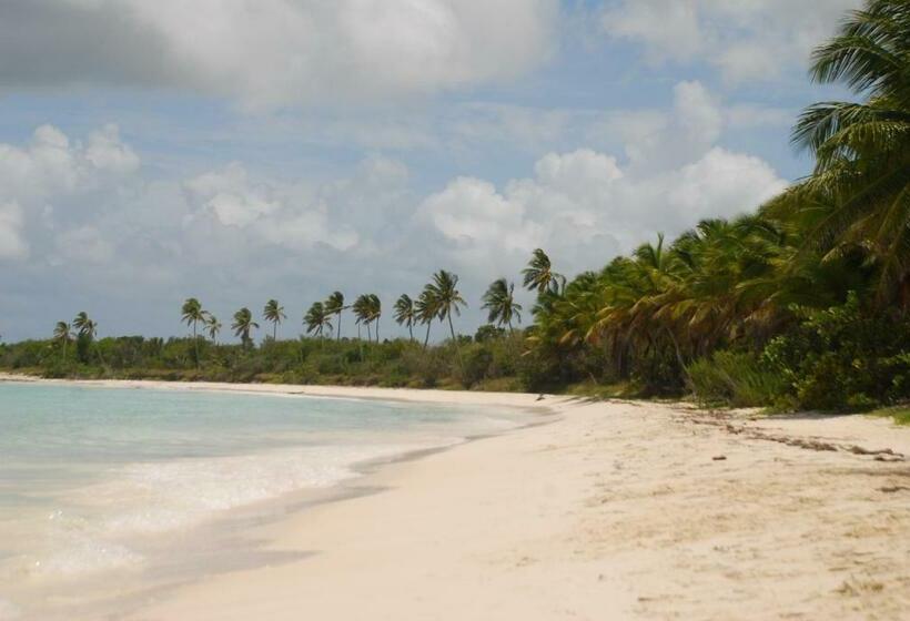 هتل Saona Beach House Bed And Breakfast