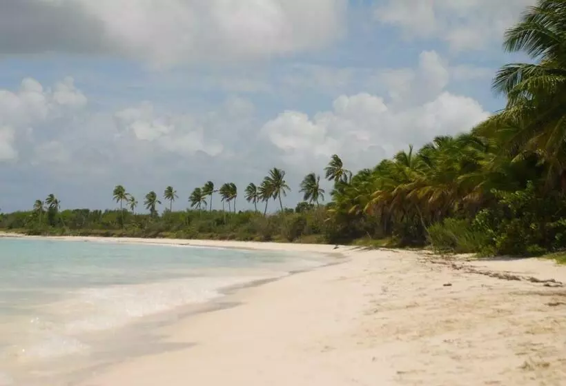 ホテル Saona Beach House   Bed And Breakfast