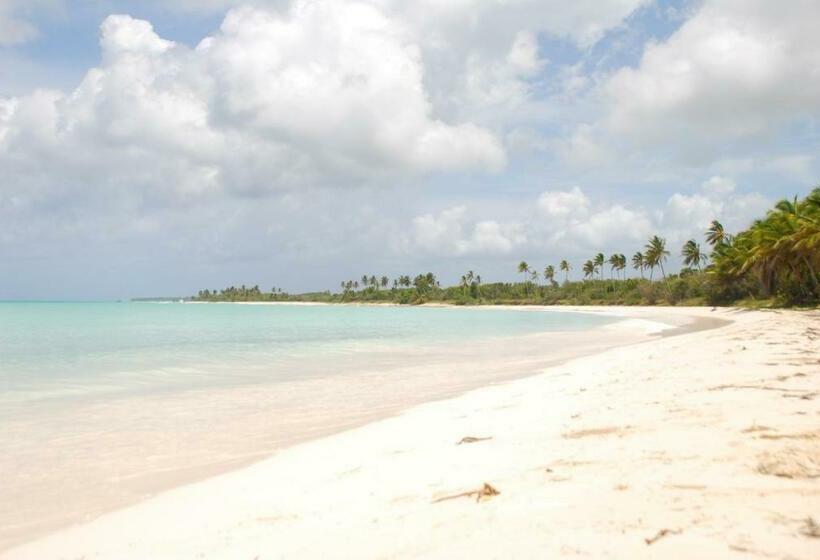 هتل Saona Beach House Bed And Breakfast