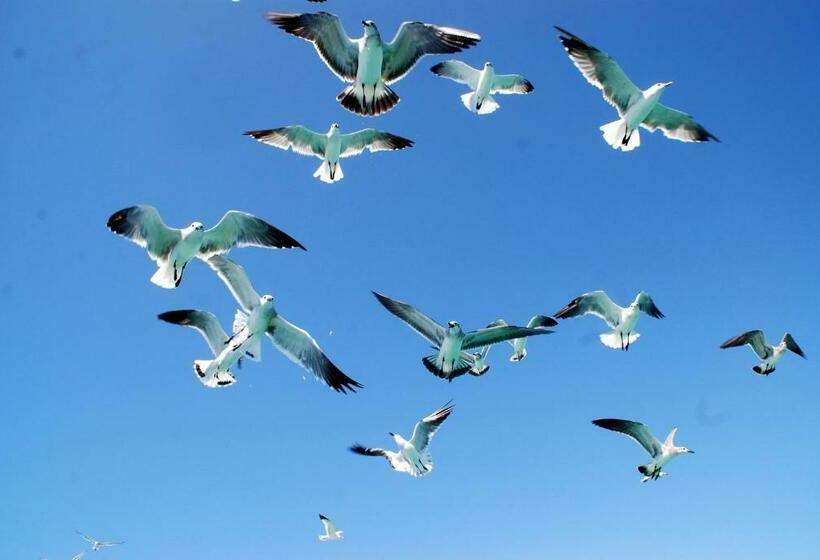 هتل Saona Beach House Bed And Breakfast