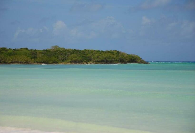 هتل Saona Beach House Bed And Breakfast