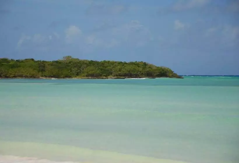 ホテル Saona Beach House   Bed And Breakfast