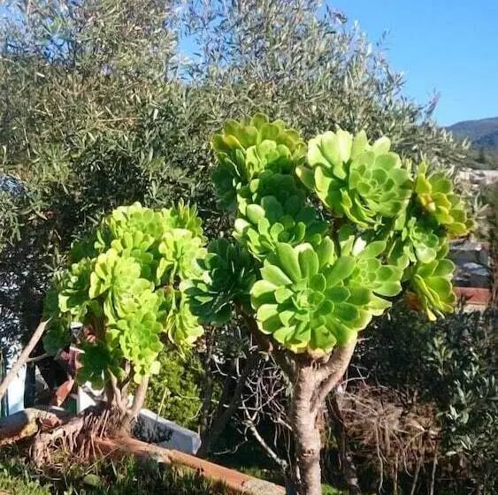 Majatalo Gite L Ile Du Caroubier