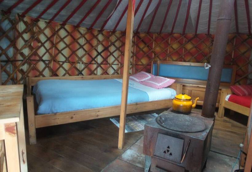 بنسيون Le Carré Du Mercantour