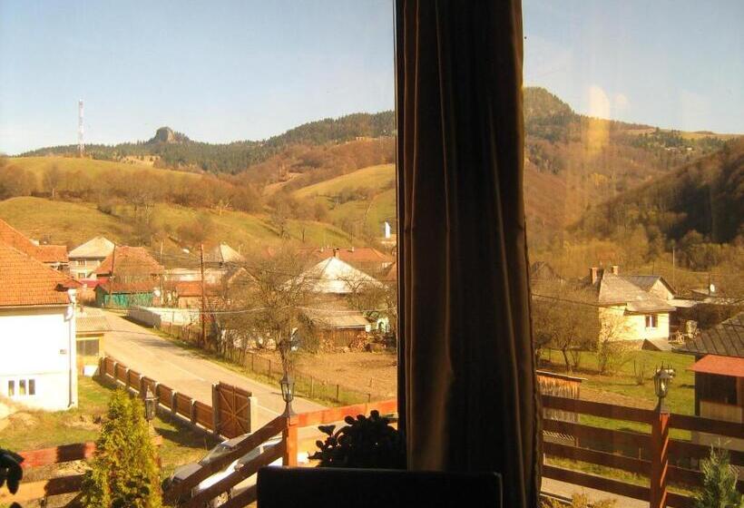 Pensiunea Casa Motilor