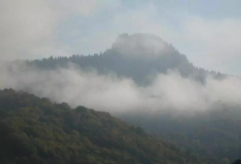 Pensiunea Casa Motilor