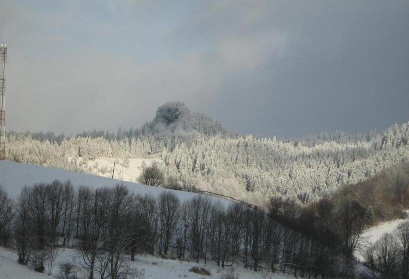 Pensiunea Casa Motilor