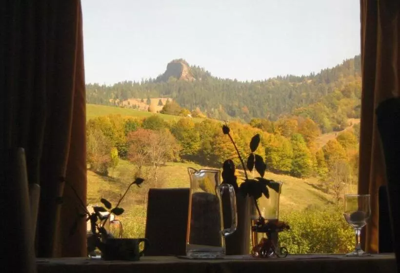 Pensiunea Casa Motilor