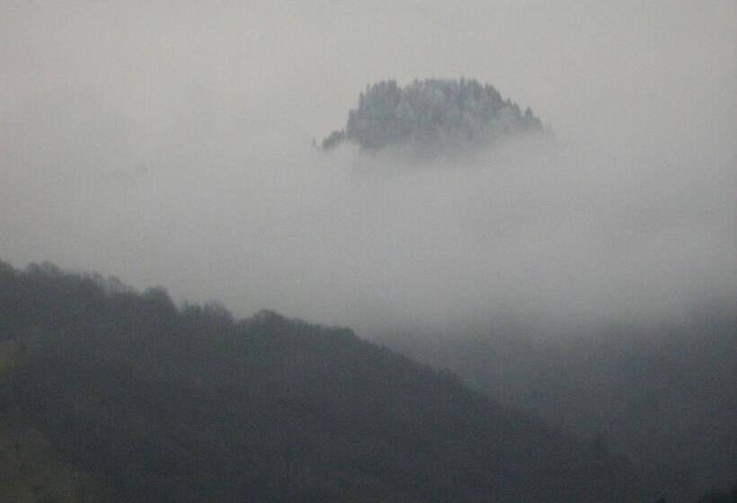 Pensiunea Casa Motilor